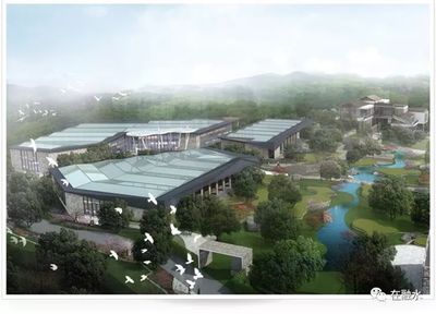 靈芝與文化創(chuàng)意的完美融合 廣西仙草堂的企業(yè)探索